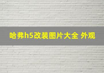 哈弗h5改装图片大全 外观